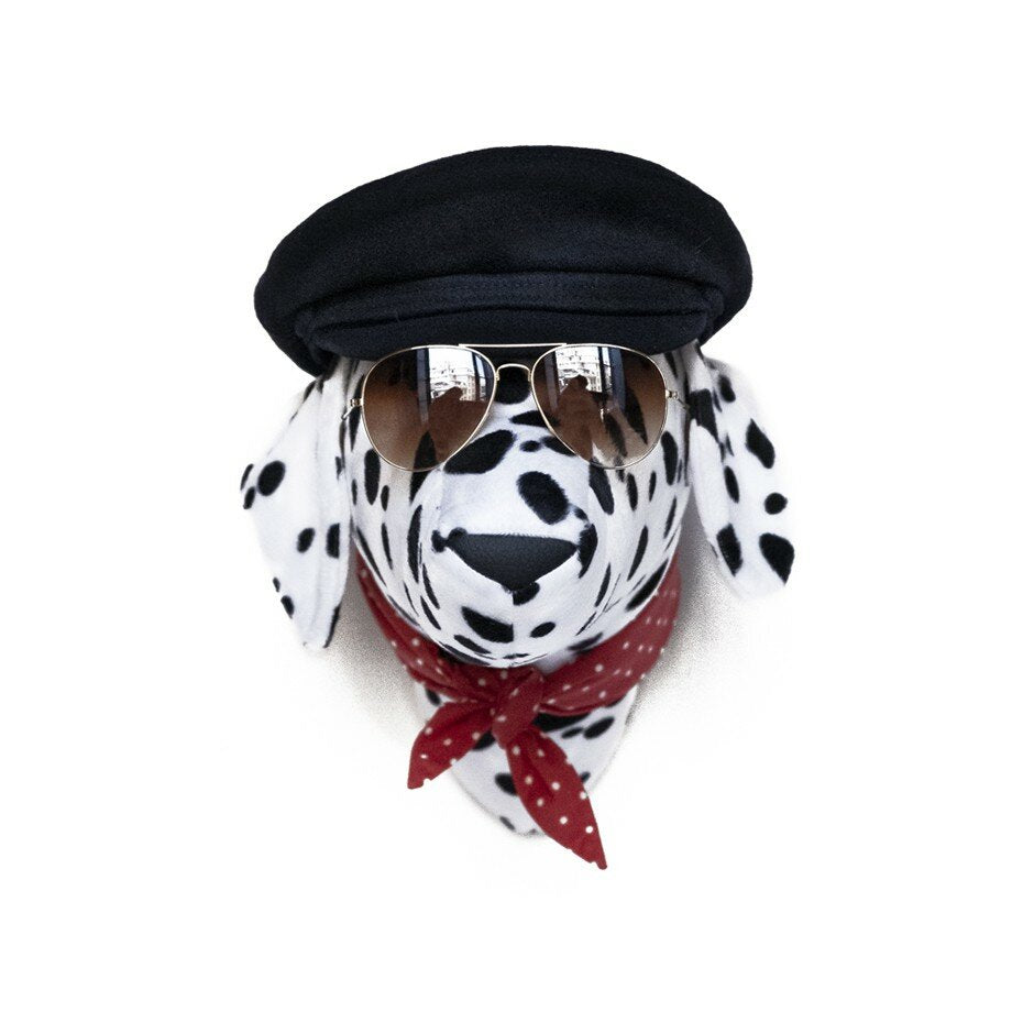 Softhead Dalmatian - Laurent