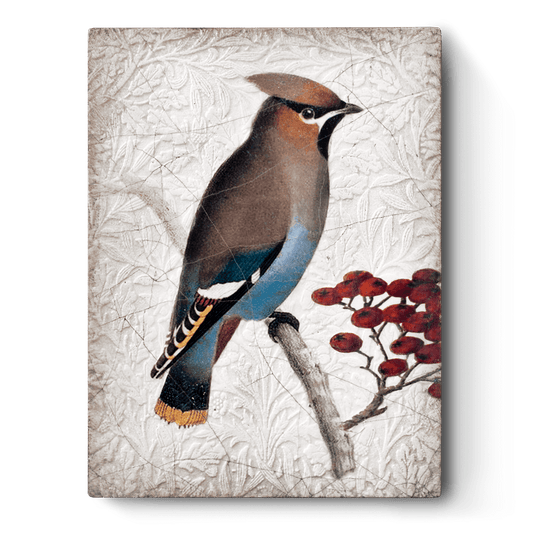 Sid Dickens Memory Block - Waxwing
