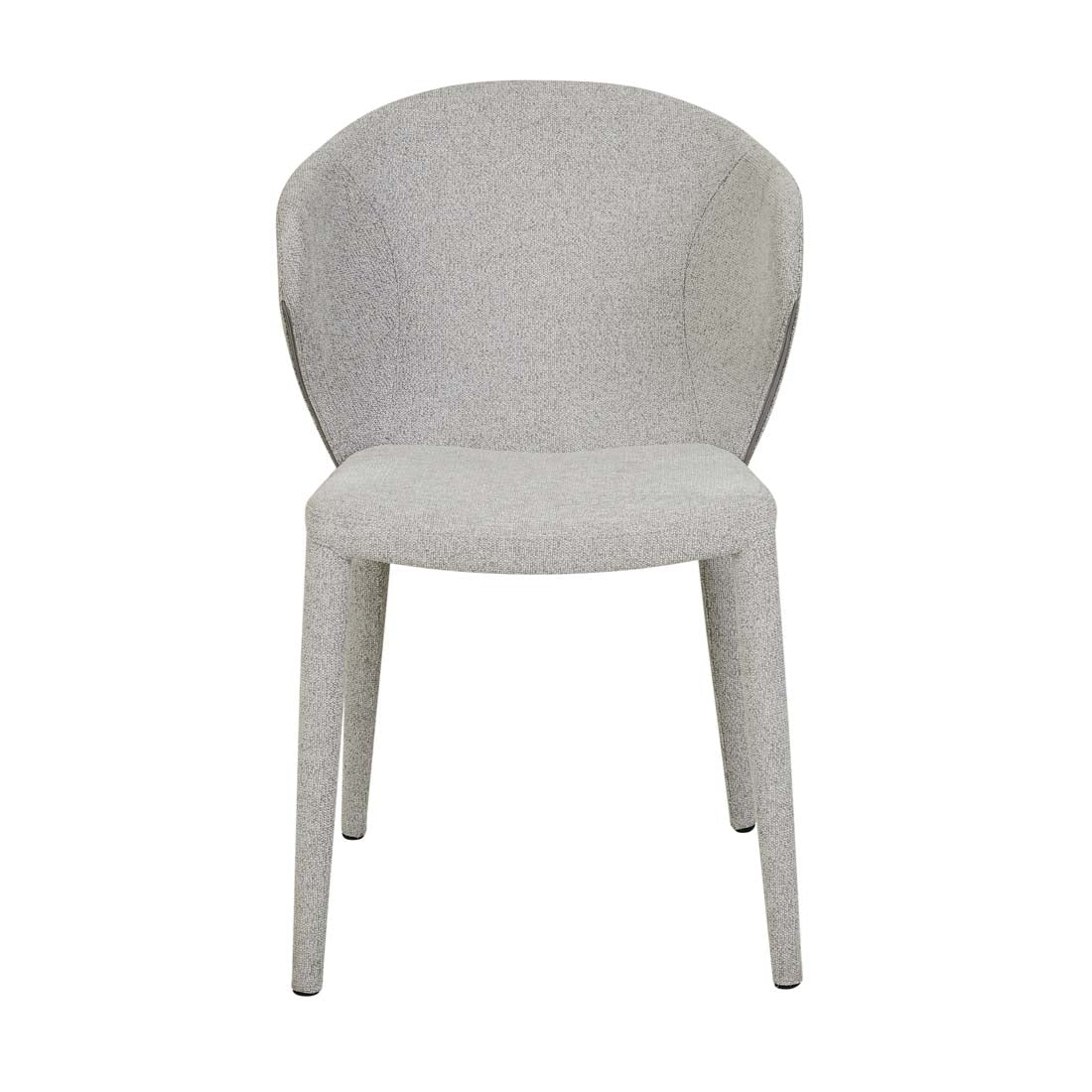 Theo Dining Chair - Fog