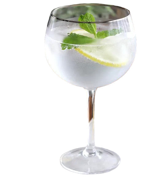 Gin and tonic cocktail with lemon and mint in a large glass on a white background