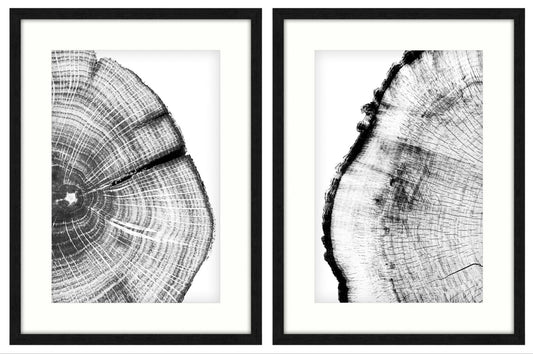 Diminishing 1 Art Works - Set of 2