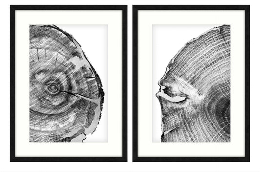 Diminishing 2 Art Works - Set of 2