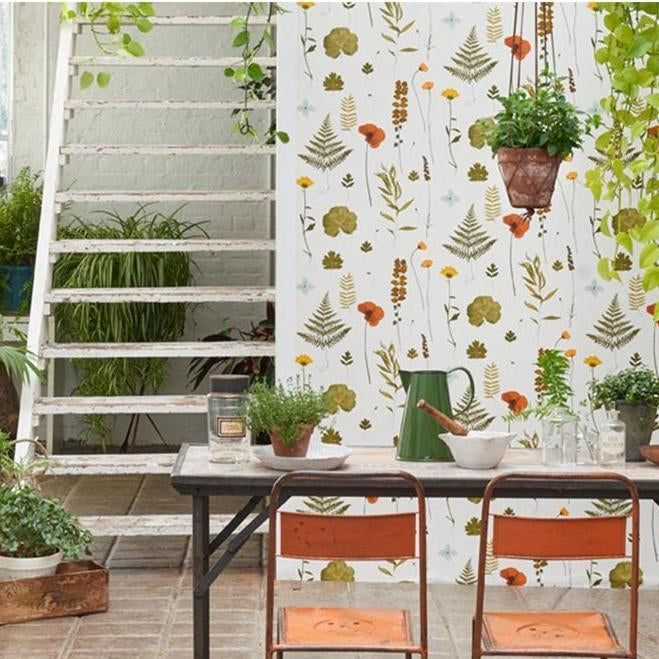 Herbarium - Clarke and Clarke Botanica Collection