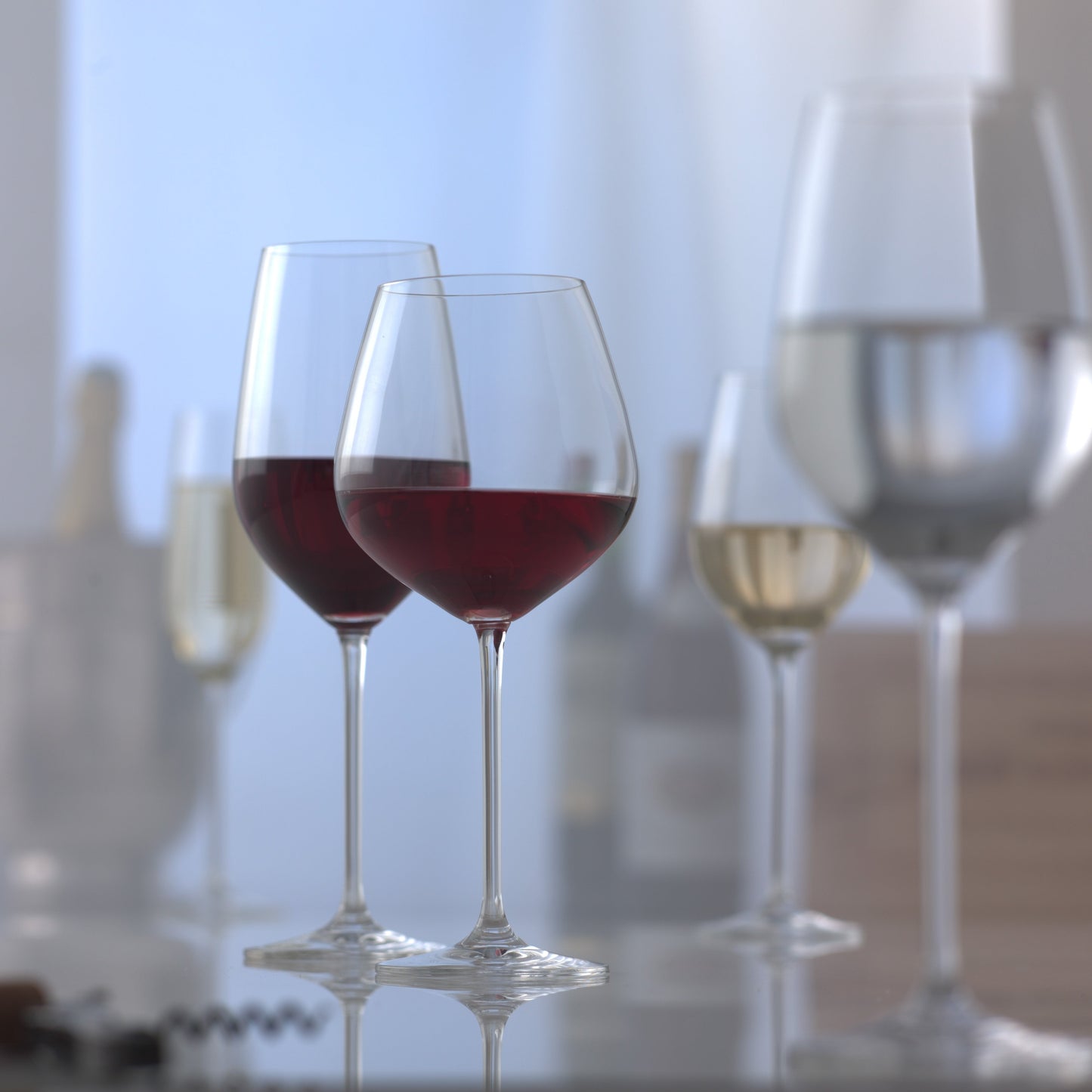Fortissimo Red Wine Glasses - Set of 6