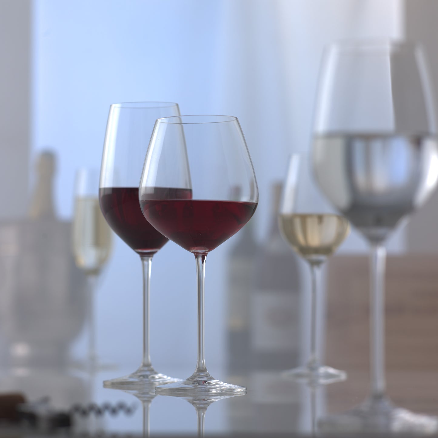 Fortissimo Burgundy Glasses - Set of 6