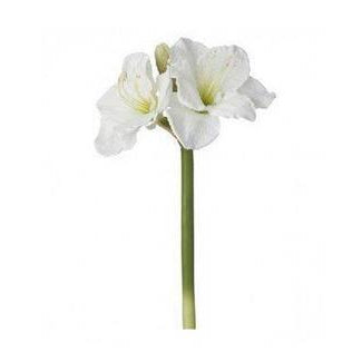 Faux Giant Amaryllis