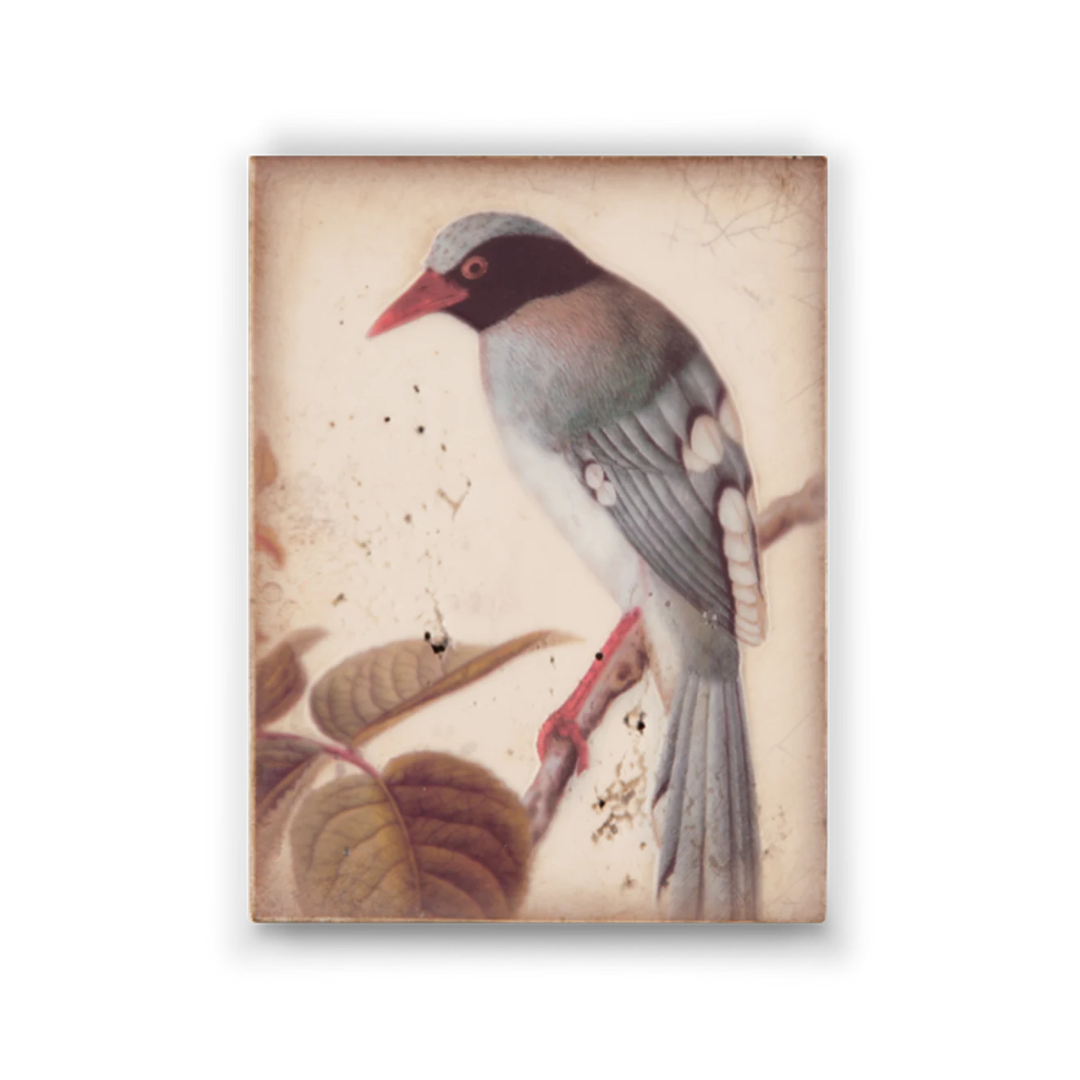 Sid Dickens Memory Block - Winged Sage