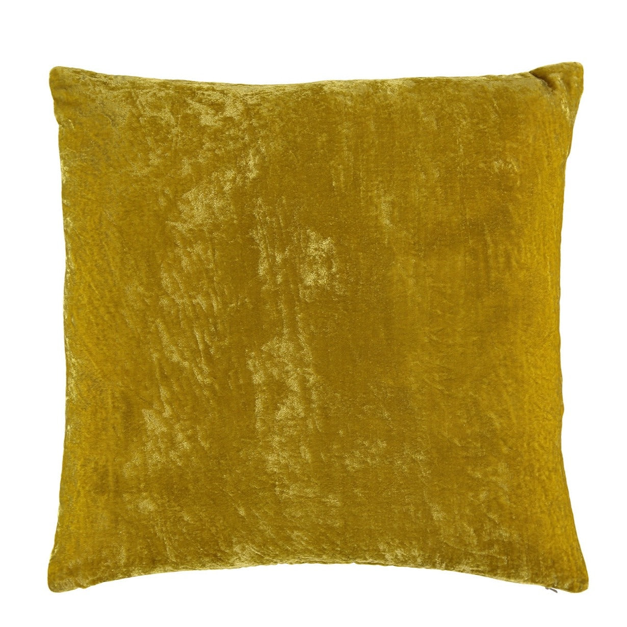 Paddy Cushion
