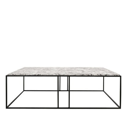 Dion Coffee Table - Alaska Marble Top