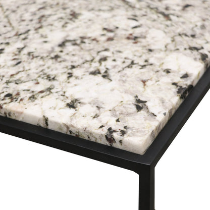 Dion Coffee Table - Alaska Marble Top