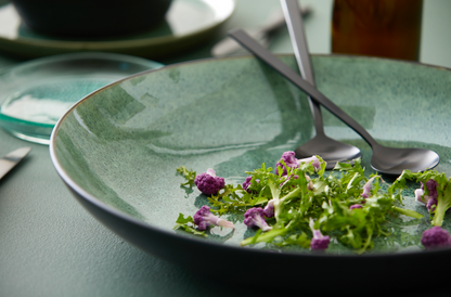 Bitz Bowl Dish - Black + Green