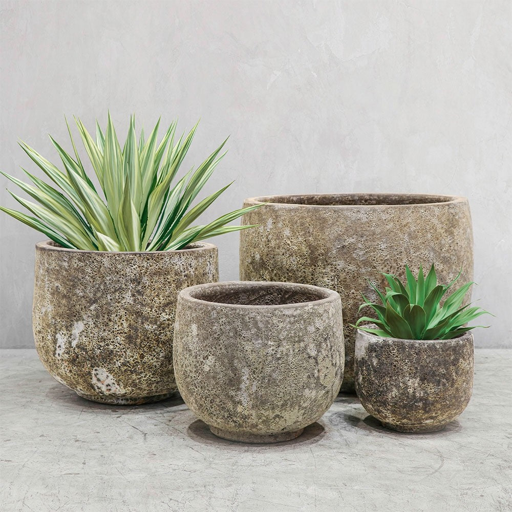 Set of four concrete planters with plants on a light gray surface and background
