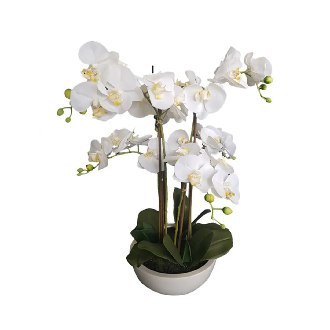 Faux Potted Phalaenopsis Orchid