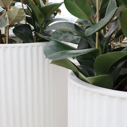 Piako Ribbed Cylinder Outdoor Planter - White (3 Sizes)