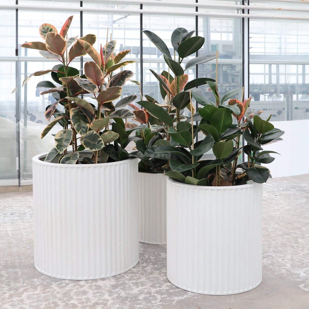 Piako Ribbed Cylinder Outdoor Planter - White (3 Sizes)