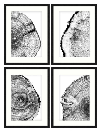Diminishing 2 Art Works - Set of 2