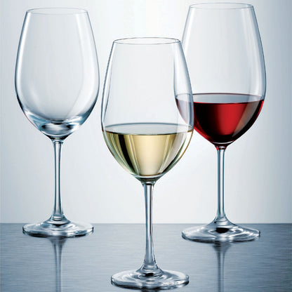Ivento White Wine Glasses - Set of 6