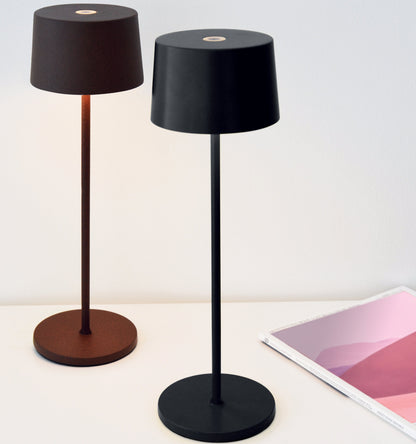 Olivia Indoor/Outdoor Table Lamp - Dark Grey